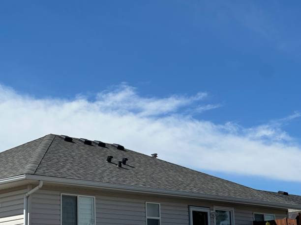 Best Gutter Installation and Repair  in Gosnell, AR